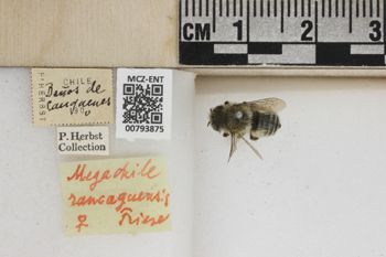 Media type: image;   Entomology 793875 Aspect: Labels